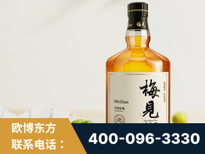 马尔康-梅见青梅酒